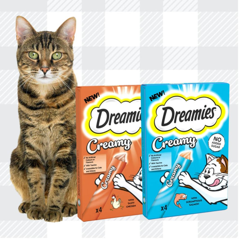 AETN Creations Dreamies Creamy Snacks Bundle of Salmon and Chicken Supplementary Food for Kittens and Adult Cats with AETN Cat Treat