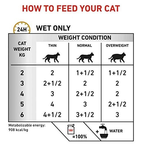 Royal Canin Veterinary Cat Food - RENAL MIXED PACK - Beef, Chicken And Tuna 36x85g Bulk Buy Mixed Pack Premium Wet Cat Food For Feline’s With Chronic Kidney Disease