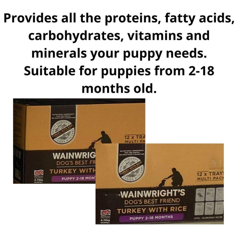 Wainwright's Complete Wet Puppy Food Turkey with Rice 12 x 395g - Nutritious, Delicious, Easily Digested And Hypo-Allergenic Suitable For 2-18 Months Old Puppies