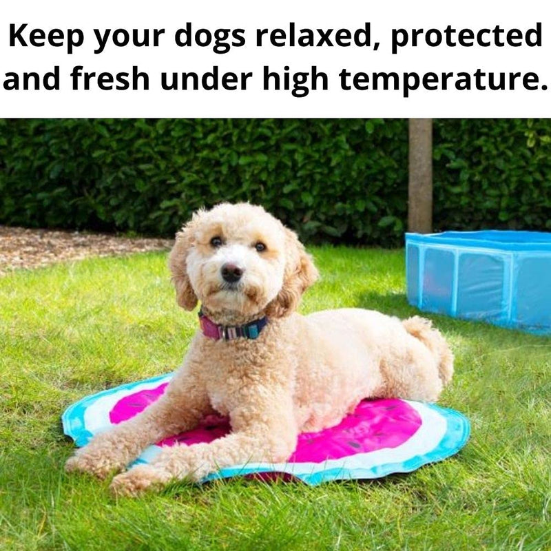 Cooling Pet Mat - Watermelon Diameter: 65cm Helps To Cool Your Pet's Body Temperature This Summer, Non Toxic Material, Durable And Light