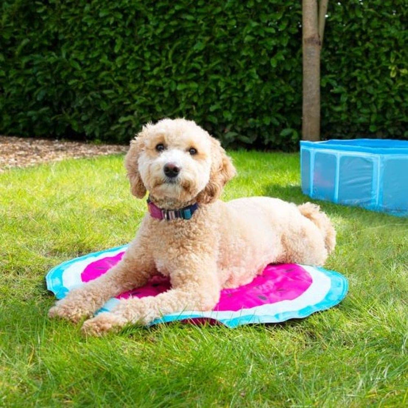 Cooling Pet Mat - Watermelon Diameter: 65cm Helps To Cool Your Pet's Body Temperature This Summer, Non Toxic Material, Durable And Light