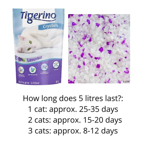 AETN Creations Tigerino Crystals Lavender Cat Bundle 5L Litter Absorbent, Odour Control, Dust-Free with AETN Cat Treat