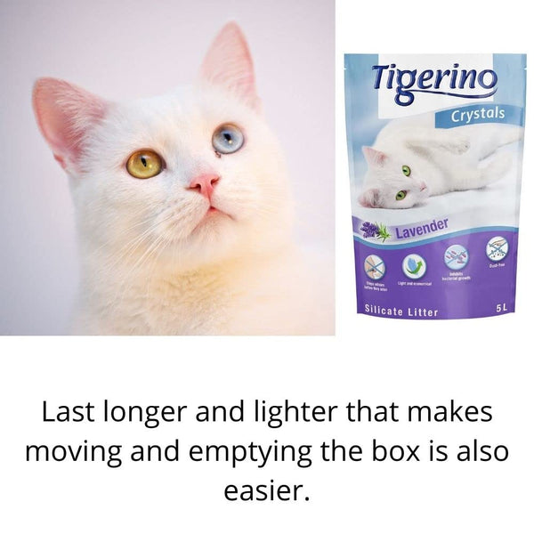 AETN Creations Tigerino Crystals Lavender Cat Bundle 5L Litter Absorbent, Odour Control, Dust-Free with AETN Cat Treat