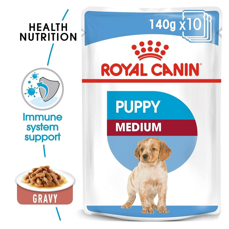 Medium Puppy Wet Food Royal anin in Gravy Pack of 10 x 140 and Healthy Teething Treats