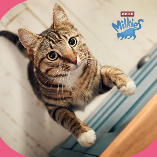 Animonda Milkies Crunchy Cat Snacks Wellness 30gm