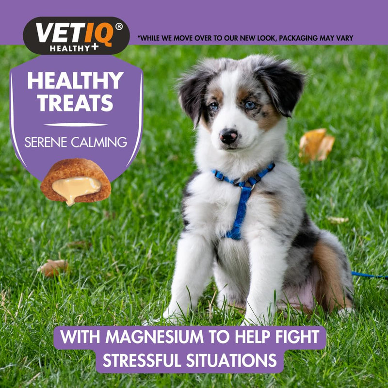 VETIQ Healthy Treats Serene Calming for Puppies & Small Dogs (50g) Puppy Calming Treat for Fireworks and Separation Anxiety, Calming Dog Treats