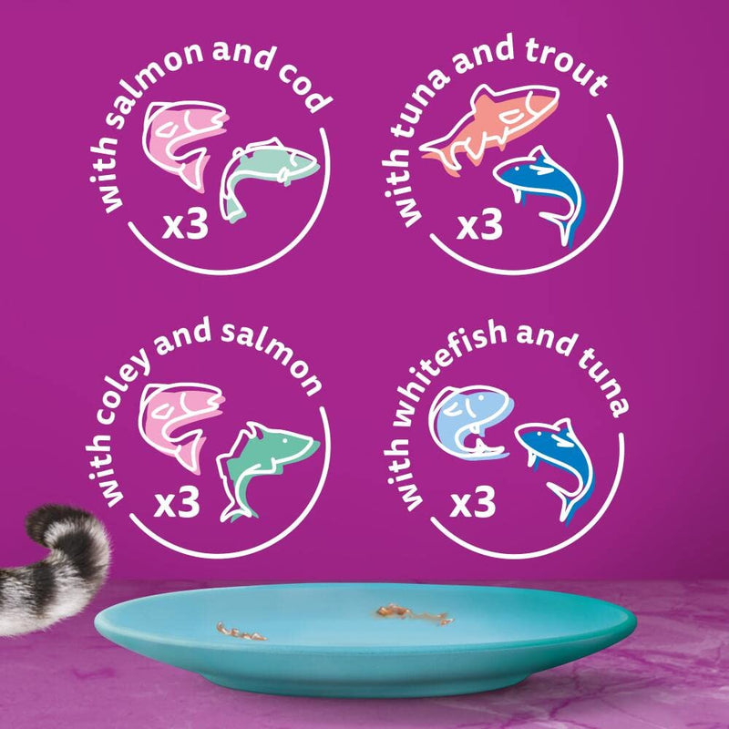 Whiskas Tasty Duo 1+ Ocean Delight in Jelly 48 x 85 g Pouches, Adult Cat Food, Pack of 4 (12 x 85 g)