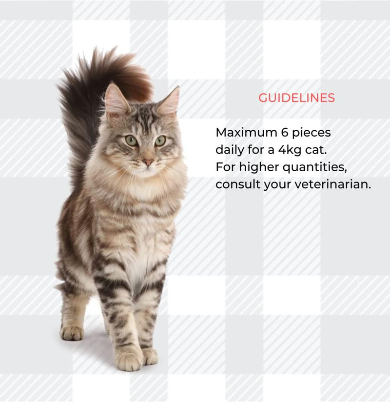 Pill Assist For Cats Bundle Pack Of 2x45g Per An Exclusive Treat Makes Giving Medicine To Easy With Moderate Calorie Content Plus AETN Creations Fridge Magnet