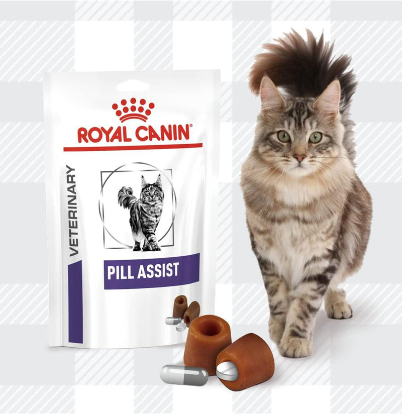 Pill Assist For Cats Bundle Pack Of 2x45g Per An Exclusive Treat Makes Giving Medicine To Easy With Moderate Calorie Content Plus AETN Creations Fridge Magnet