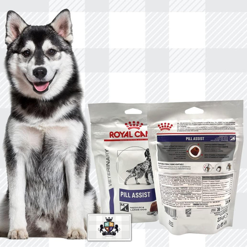 Royal canin husky sales dog food