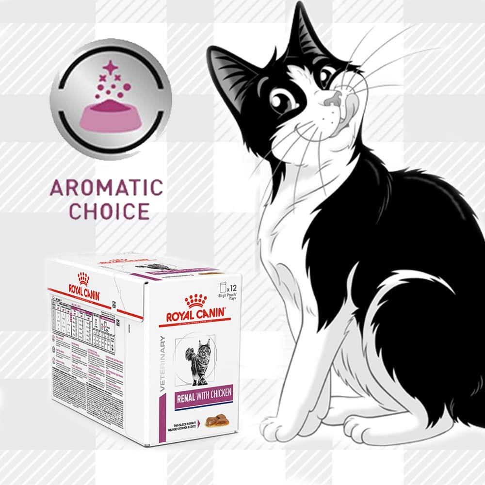 Royal canin renal dog food pouches discount