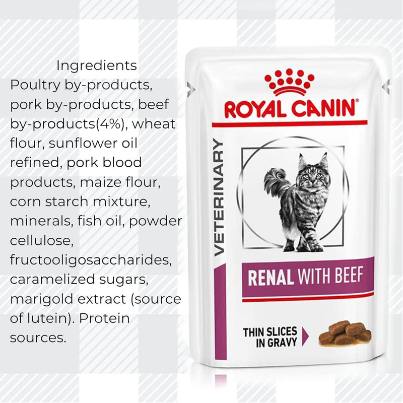Salmon oil for cats with kidney disease on sale